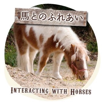 馬とのふれあい - Interacting with Horses