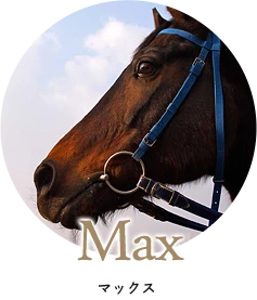 Max - マックス