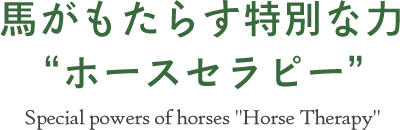 ⾺がもたらす特別な⼒“ホースセラピー”- Special powers of horses [Horse Therapy]